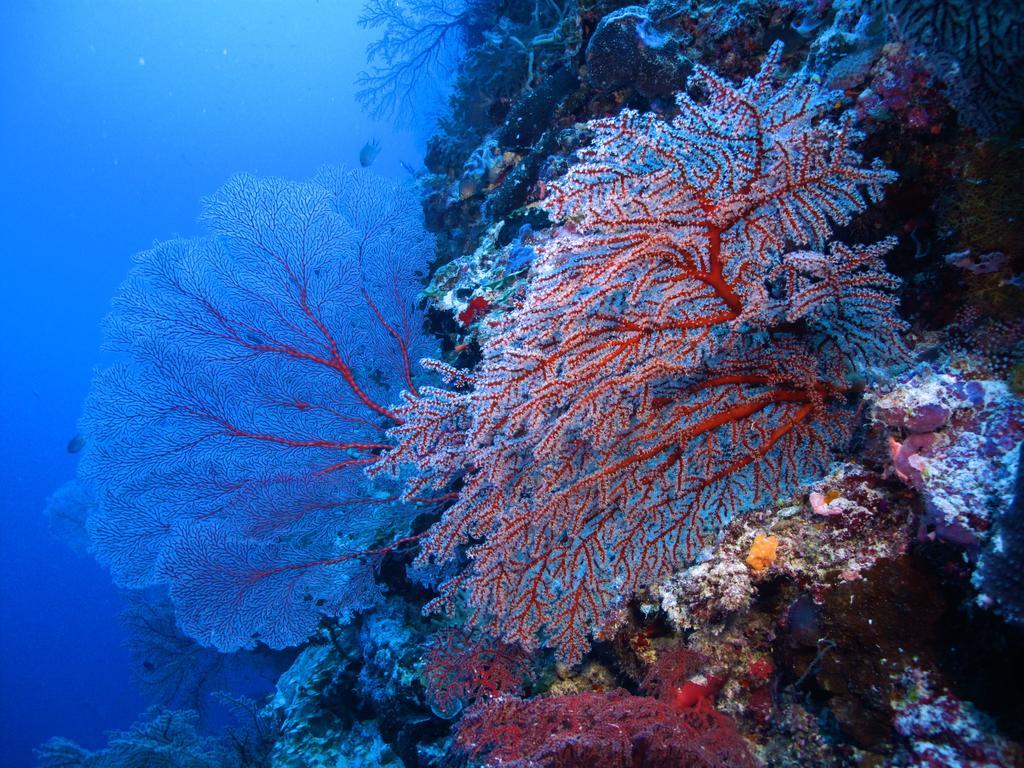 Diving Center Punta Stilo Διαμέρισμα Εξωτερικό φωτογραφία